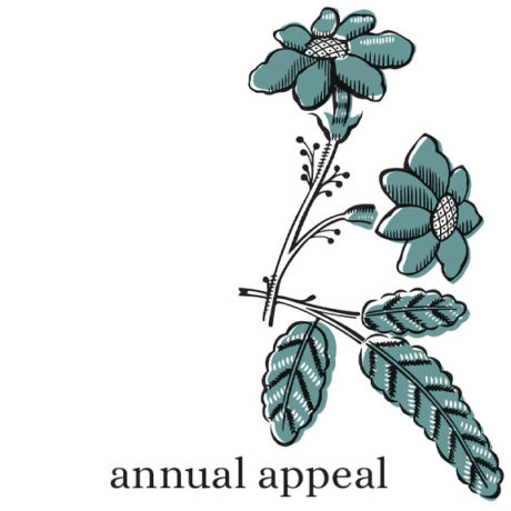 annual appeal